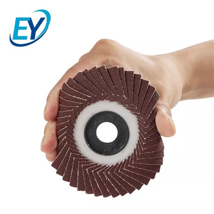 type 29 flap disc